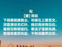 温州市捷拱商贸有限公司