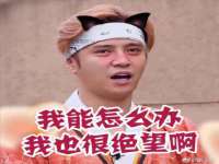 温州市捷拱商贸有限公司