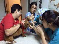 温州市捷拱商贸有限公司