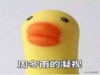 温州市捷拱商贸有限公司
