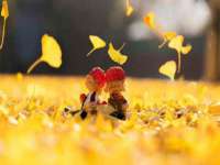 温州市捷拱商贸有限公司